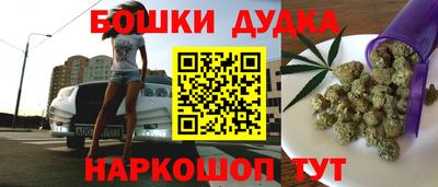 сатива Моздок