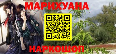 сатива Моздок