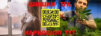 индика Можайск