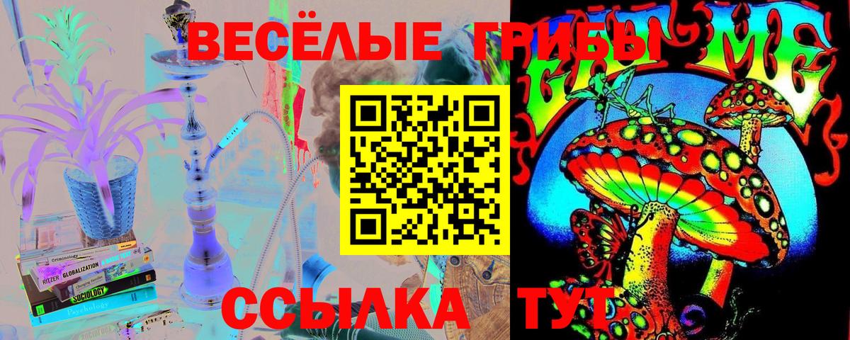 Псилоцибиновые грибы MAGIC MUSHROOMS Янаул