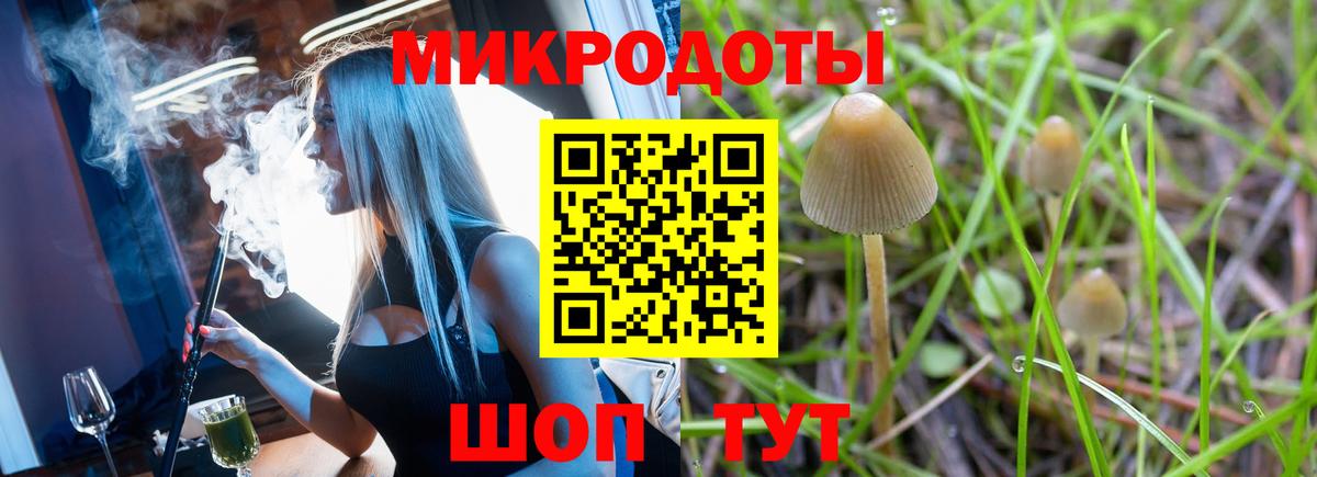 Псилоцибиновые грибы Cubensis  Псилоцибиновые грибы Cubensis  Вход с VPN  Янаул 
